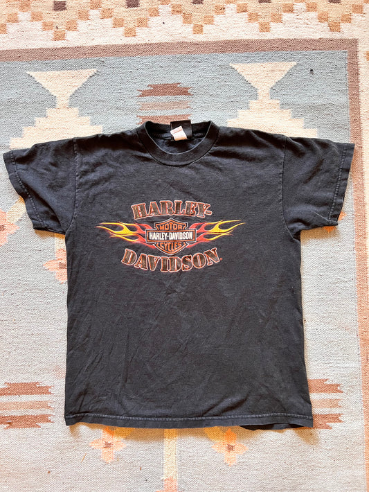 Vintage Harley Davidson T-Shirt (2010s)