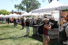 paso robles art in the park 