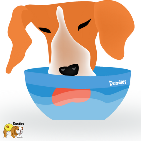 Dogs with Diabetes - Dundies - Excessive thirst symptom 