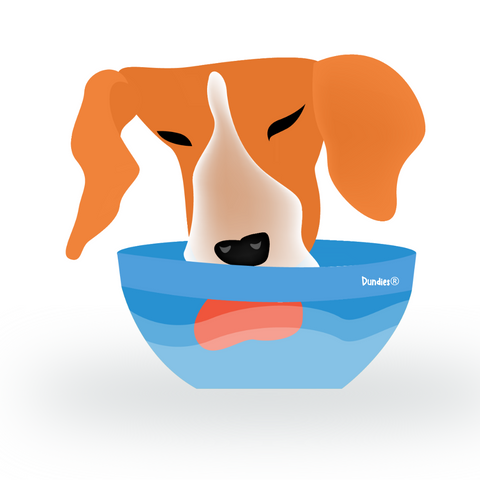 Dog drinking water - Dundies 