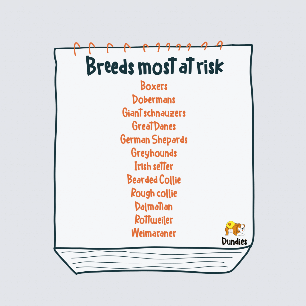 Breeds at Risk of Incontinence
