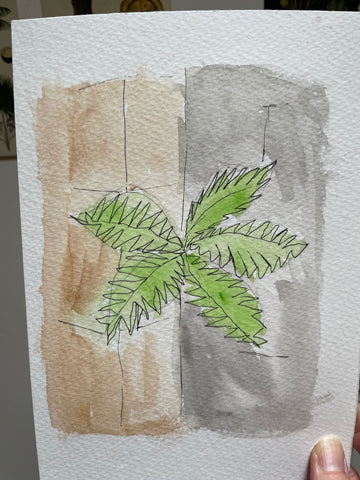 fern nature sketching class