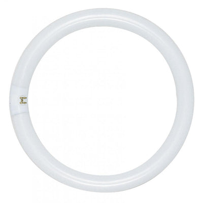 40 watt circline fluorescent bulb