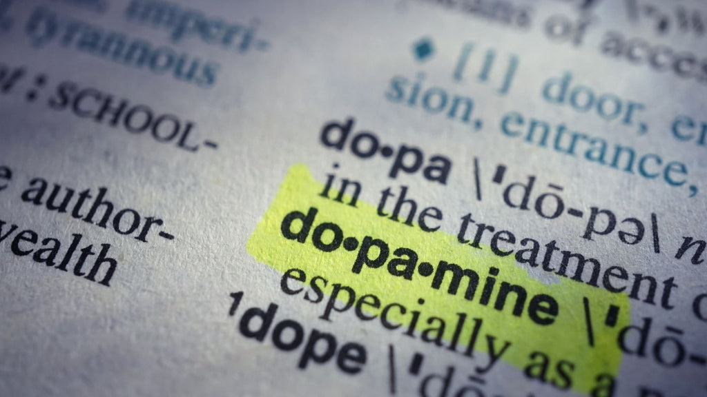 Vad är dopamin? Tips på att höja dopaminet
