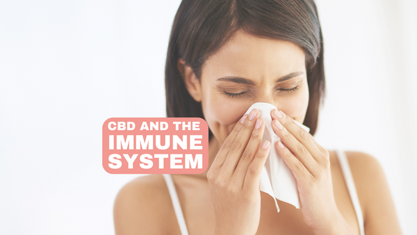 CBD a imunitný systém