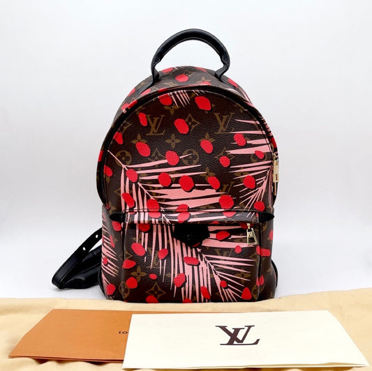 Louis Vuitton Monogram Palm Springs PM Backpack Bag with DB For