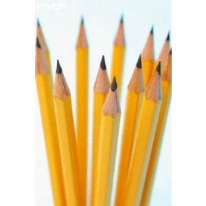 Crayola Erasable Colored Pencils, Assorted Colors, Set Of 10