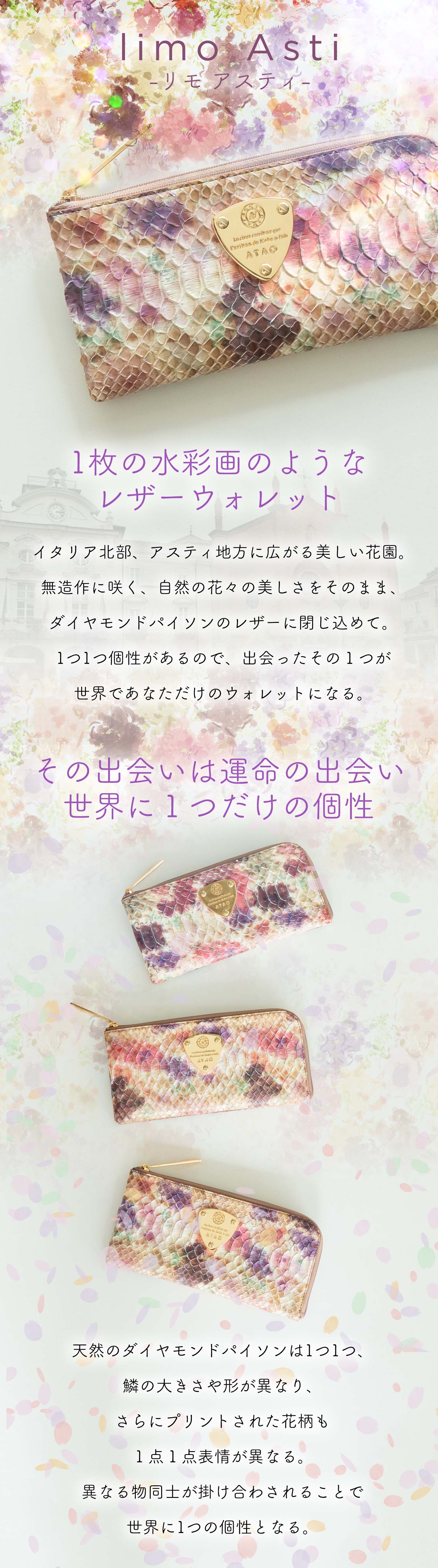 《新品》アタオ　パイソン　アスティ　(本体のみ)