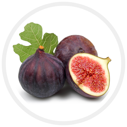 Ingredient_Fig