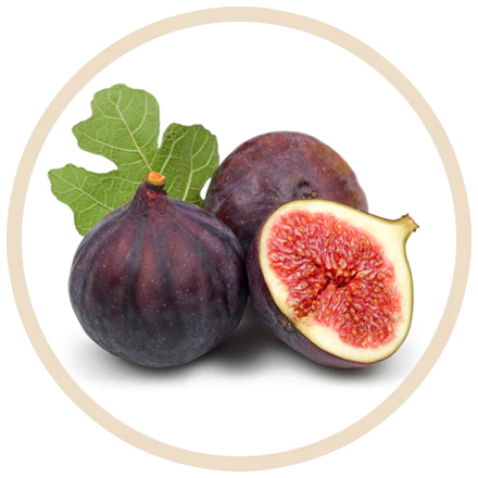 fig-extract