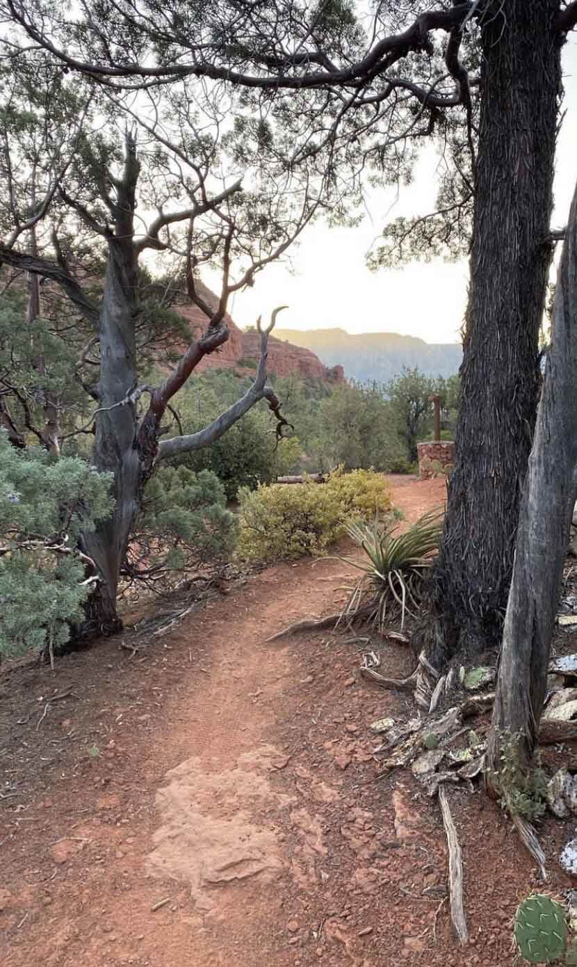 sedona arizona singletrack trail
