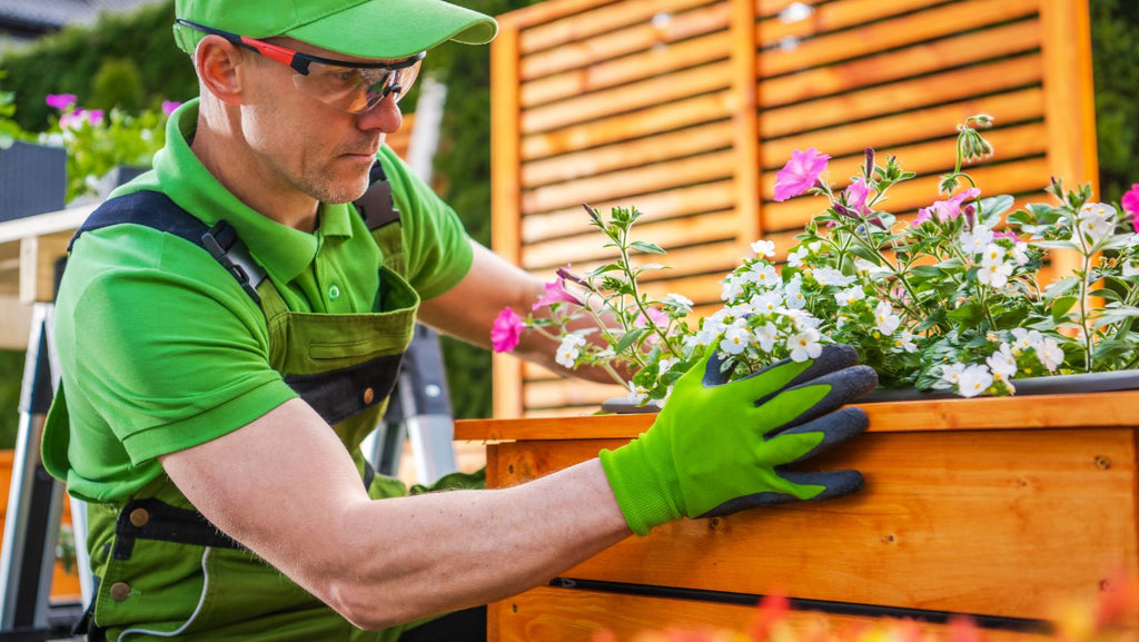 Gardener Planting Flowers Inside Wooden Planter