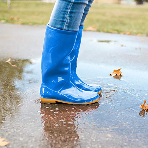 galoshes rain shoes