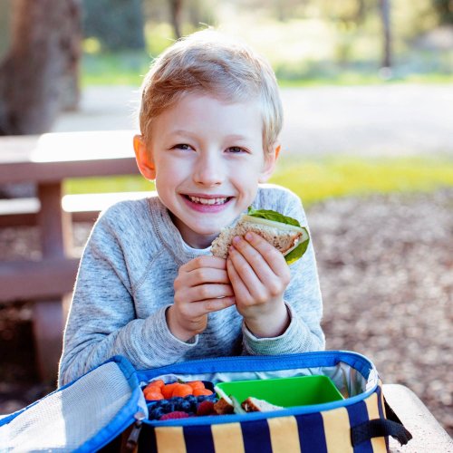 School Lunch Ideas (Printable Cheat Sheet!) - Detoxinista