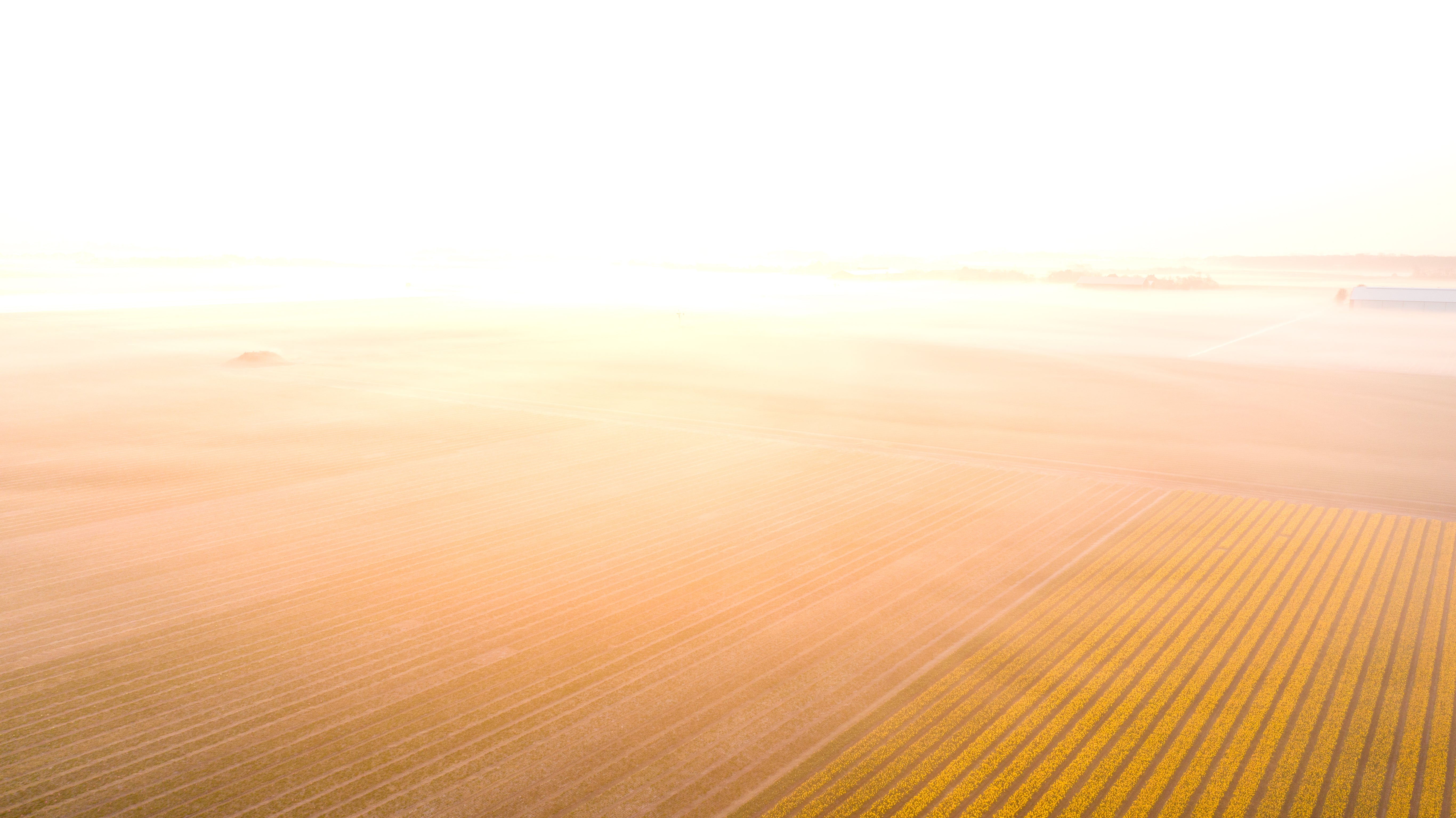 visiting-the-dutch-countryside.myshopify.com