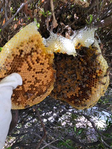 Beehives with hexagons