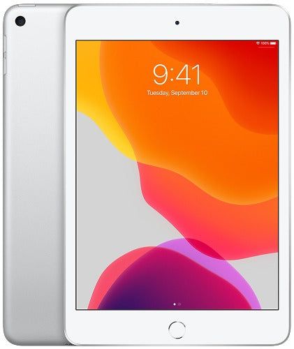 iPad mini 5 256GB Wifi + Cellular Space Gray (2019) - Producto  reacondicionado