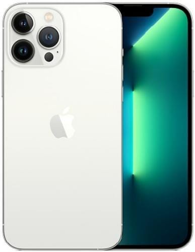 APPLE Apple iPhone 13 Pro Max 256GB space grey - Reacondicionado Grado A+ -  Private Sport Shop