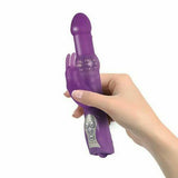 Sampla vibrator coinín