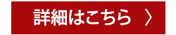 シャドーダイスチェックデザインスニーカー