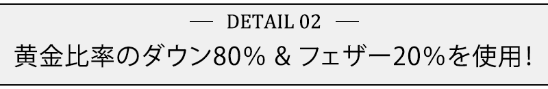 ★ディティールタイトル★