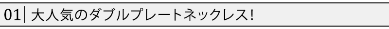 大人気のダブルプレートネックレス！