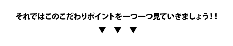 それではこのこだわりポイントを一つ一つ見ていきましょう！！