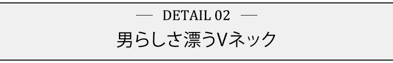 男らさ漂うVネック