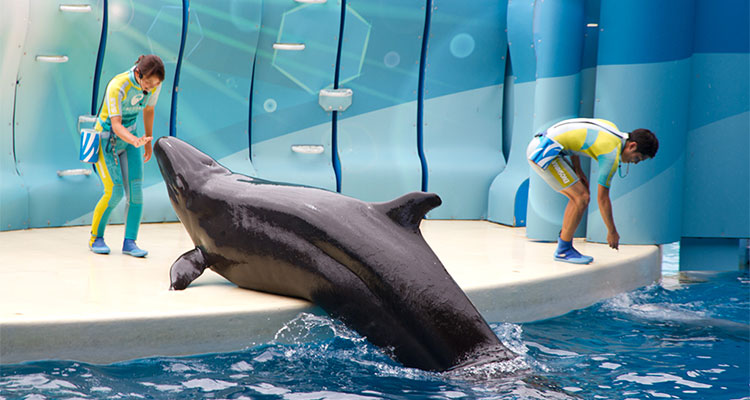 新江ノ島水族館