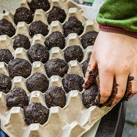 Grow a gorgeous garden with seed bombs