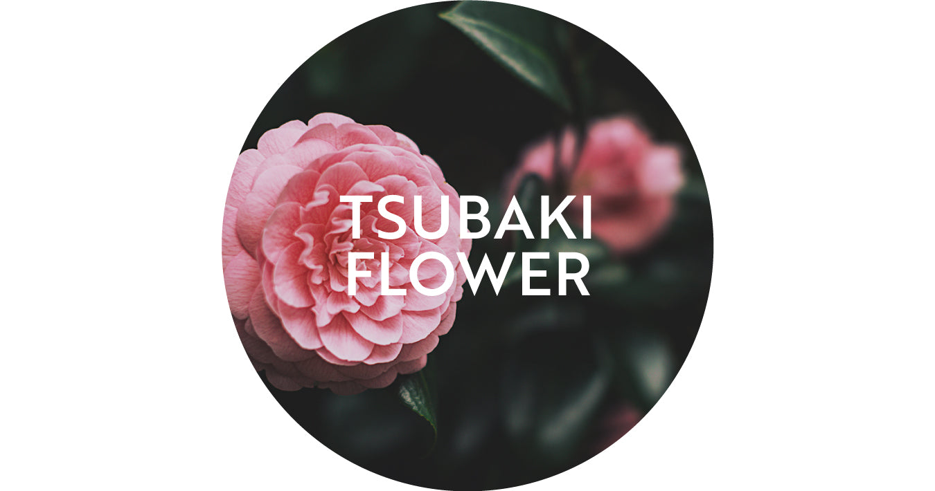 Tsubaki Flower