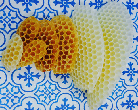 News About Japanese Unheated Honey | Taste of Japan