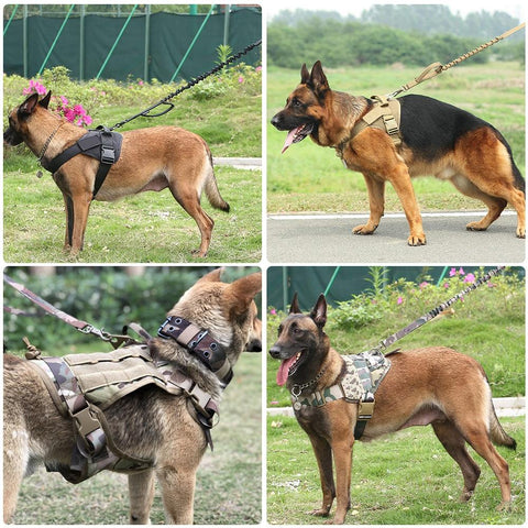 Coleira Tática para Cães Alça Dupla