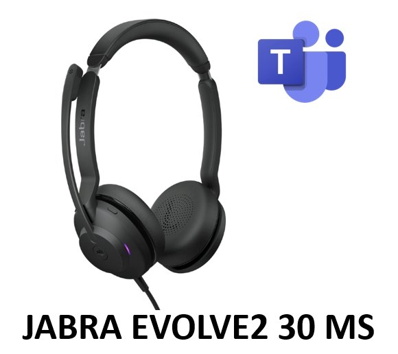 Aanleg Bloeden Achtervoegsel Jabra Evolve2 30 Mono/Stereo Office Headset Black (USB-A/C) | SourceIT