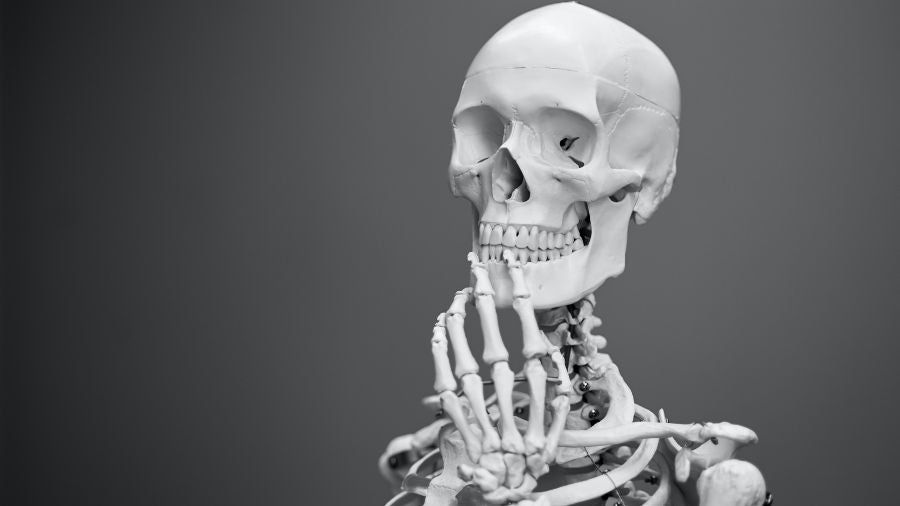 Squelette d’anatomie qui pense