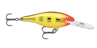 Rapala JSR05 Jointed Shad Rap – C.K. Sporting Goods