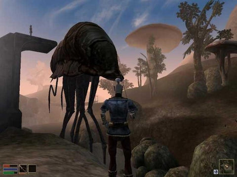 Actual gameplay in Elder Scrolls III Morrowind