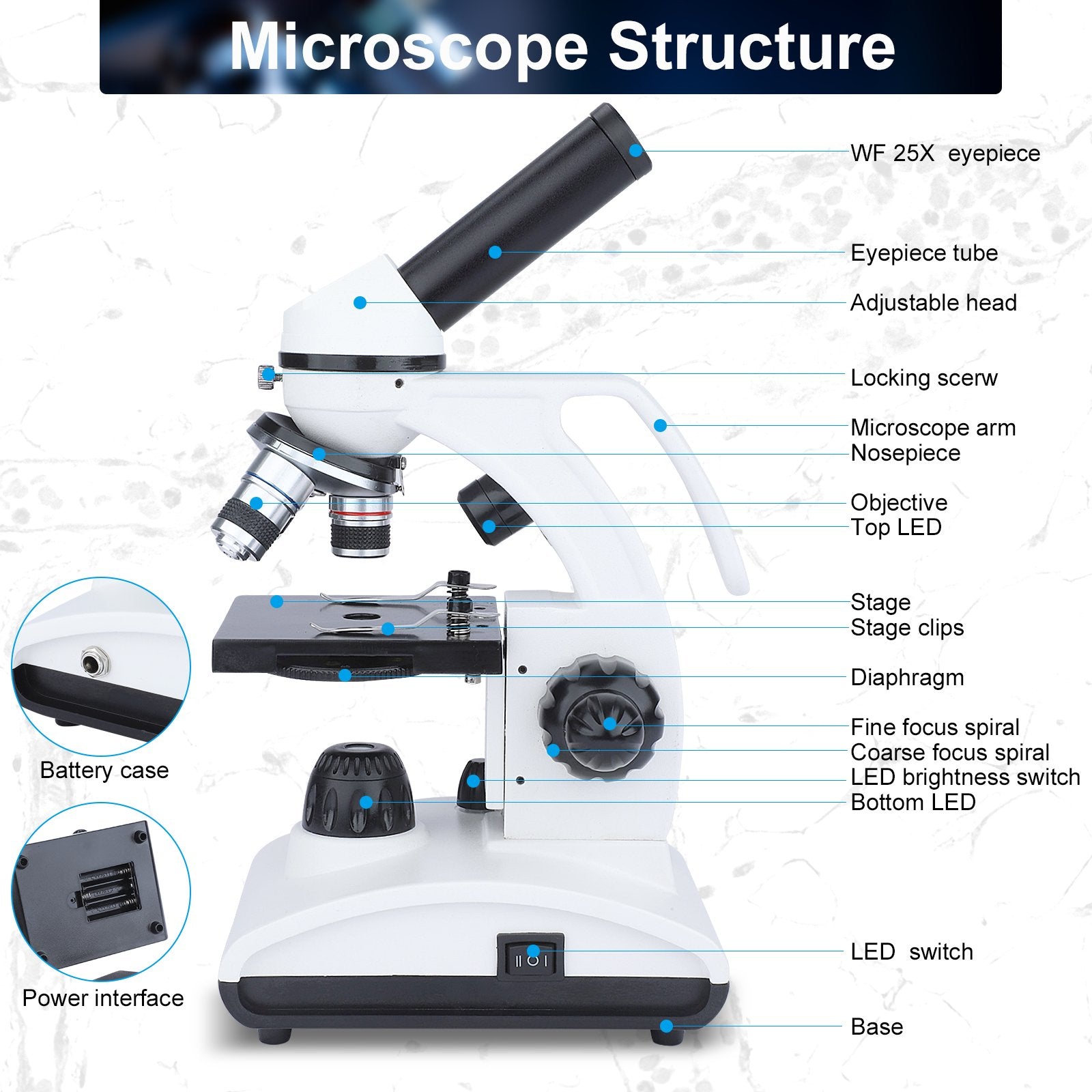 贈答 MAXLAPTER 顕微鏡 100～2000倍 移動式ステージ