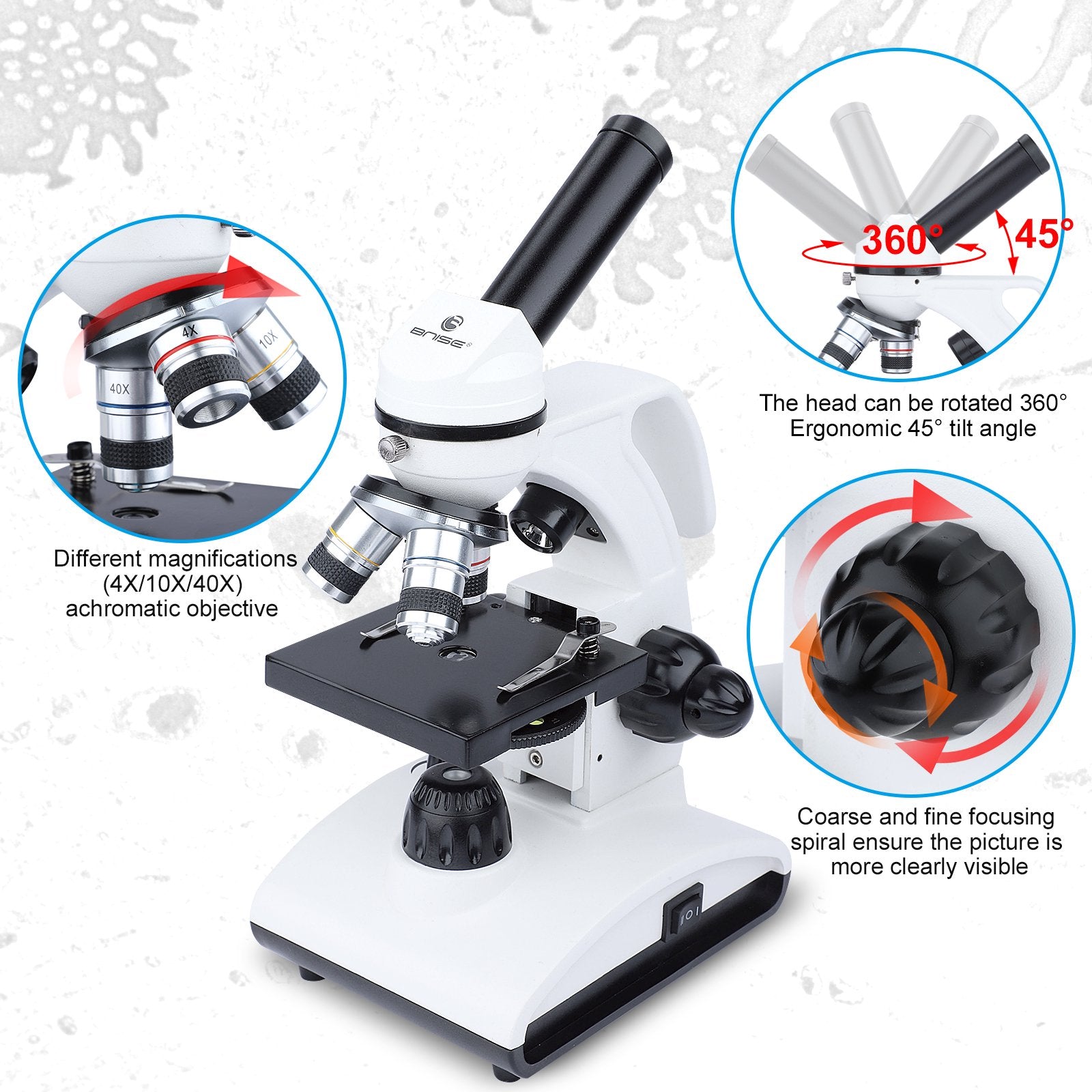 microscope diagram for kids