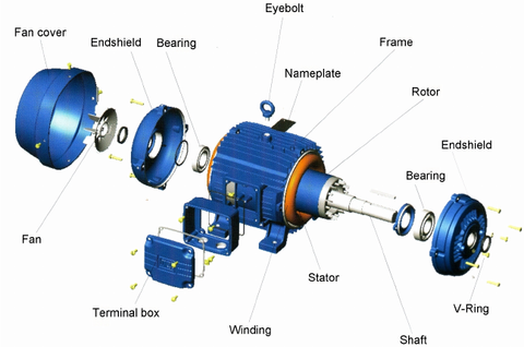 Common Parts of An Electric Pallet Jack Motor