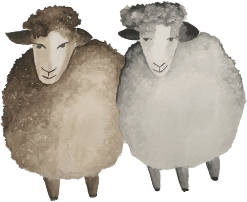 ThinxGreen Blog Artikel über Wolle als nachhaltiges Material - Schafe