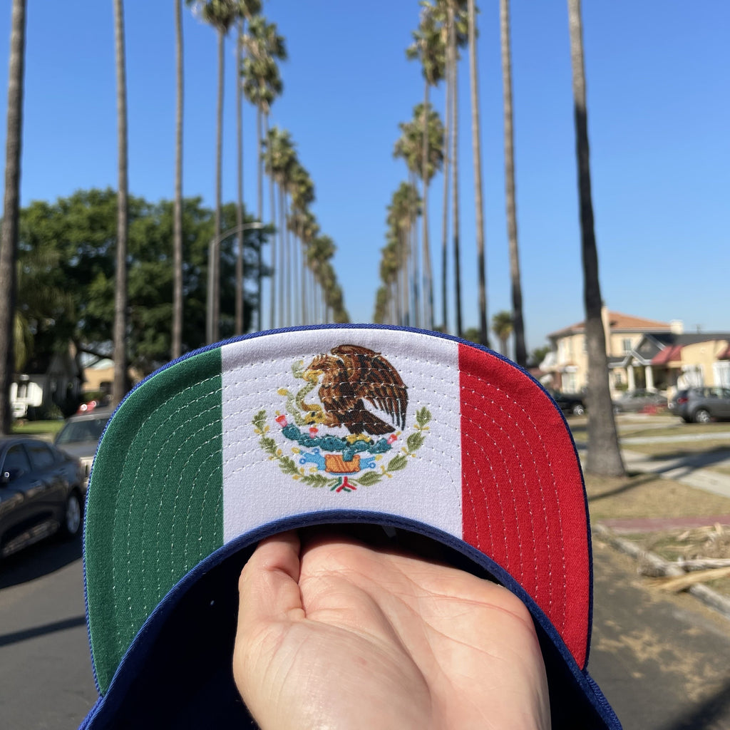 mexican flag dodgers hat