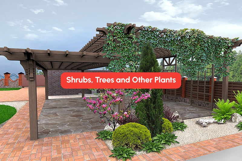Shrubs, Trees and Other Plants for Pergola Privacy