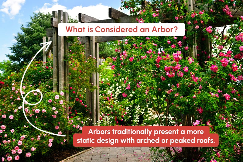 What is considered an Arbor?