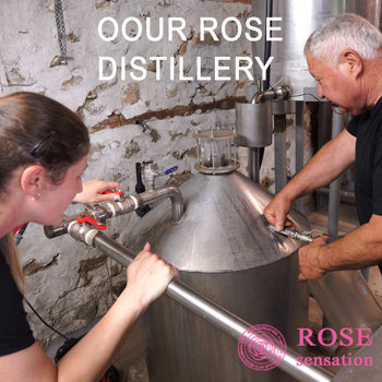 Our rose distillery in Rose Valley