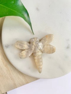 Moonstone carving of dragonfly