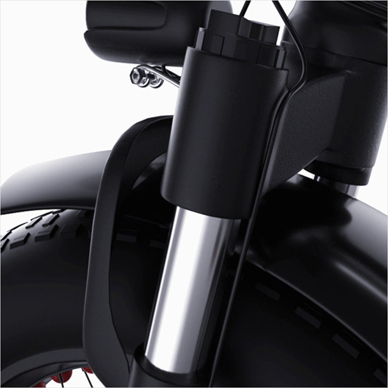 Lesoos FatSky Folding Fat Tire Electric Bike - Lesoos FatSky