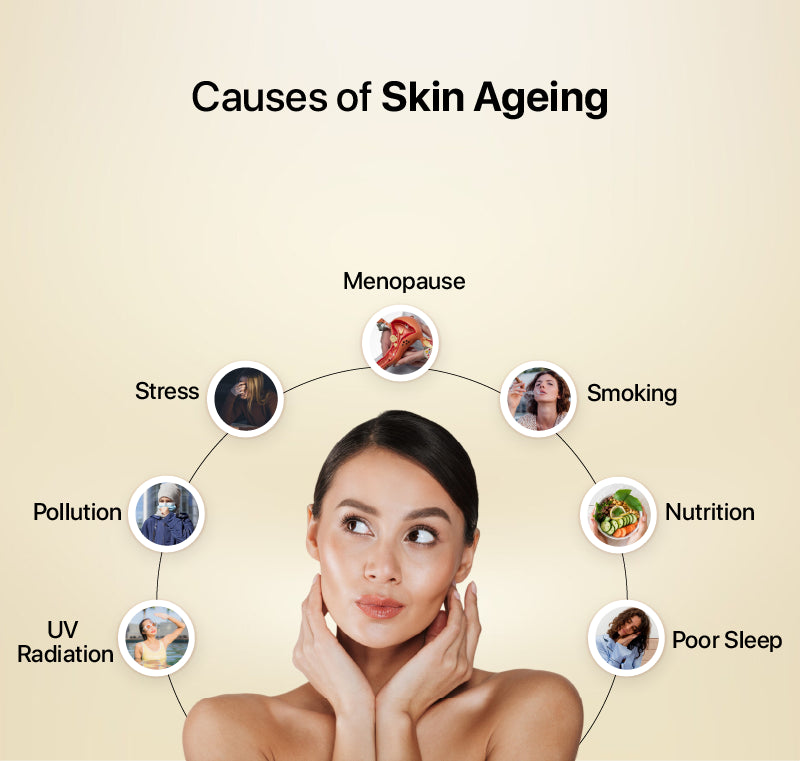 Causes of Skin Ageing