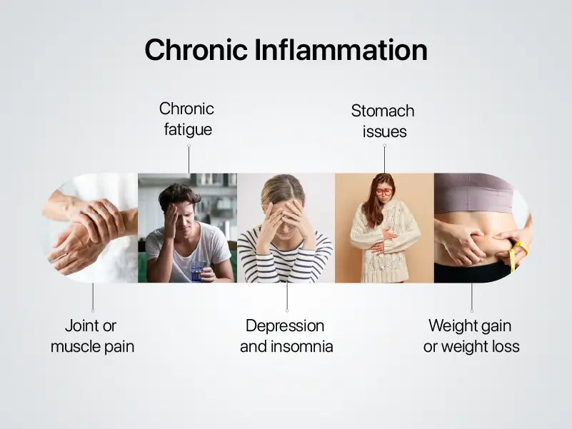 Chronic Inflammation