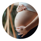 Pregnancy naturally alters the composition of the gut microbiome.